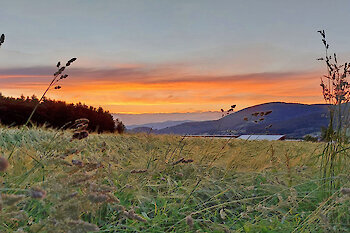 Bauernhofurlaub im Bayerischen Wald